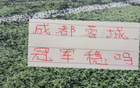 半程赛事落幕！北京国安落后榜首球队22分，上海申花以24分位列次席，卫冕冠军则以25分稳居积分榜前列
